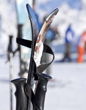 Le ski fait partie de ses hobbies, avec le tennis, la voile et la natation.