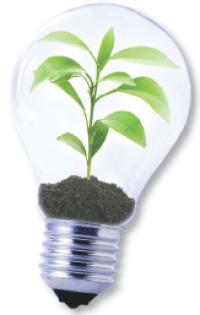 71 % des Français interrogés disent faire des efforts pour protéger l'environnement.
