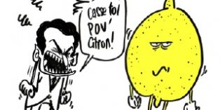 Les "Citrons" ne veulent plus être pressés par la CFE