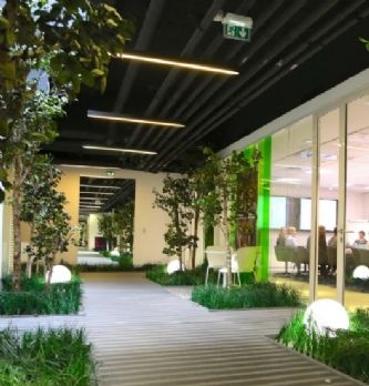 Dans les bureaux de la French Tech
