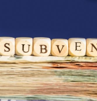 Entreprise, comment faire pour obtenir une subvention ?
