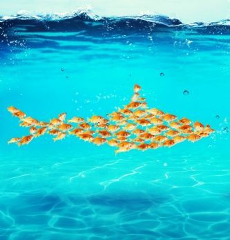 "Il faut accroître le "jeu d'équipe" par nature collectif de l'entreprise en matière d'achat"