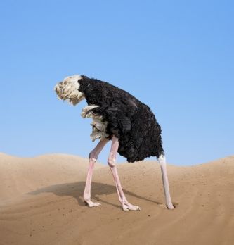 Revue de presse achats - semaine du 22 au 26 avril