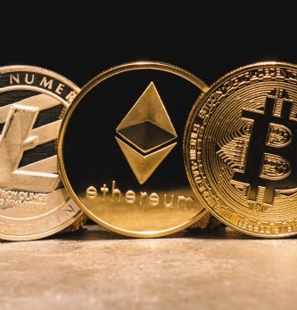 Les crypto-monnaies : un potentiel prêt à éclore