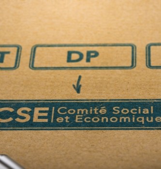 Comité social et économique (CSE) : mode d'emploi