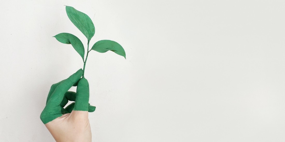 Seedtag réduit l'empreinte carbone de la publicité en ligne