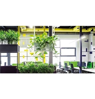 5 conseils pour une entreprise (vraiment) écolo