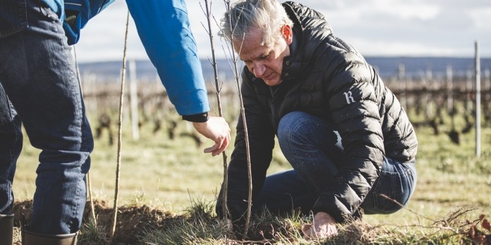 Frédéric Dufour, président de Ruinart, en train de planter un arbre dans le cadre du projet pilote de Vitiforesterie, le 15 mars 2021 à Taissy.