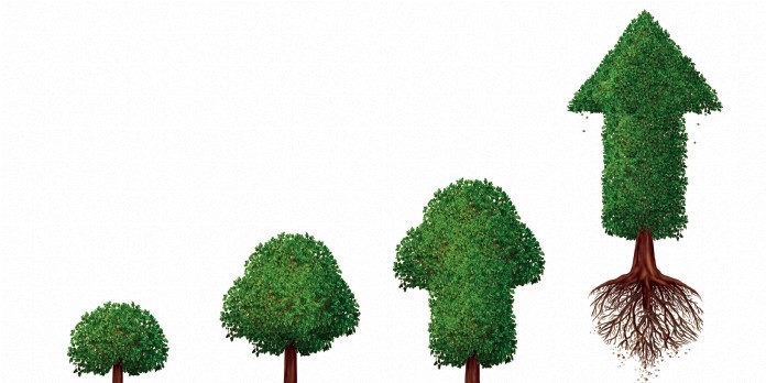 Epsa mise sur une croissance durable