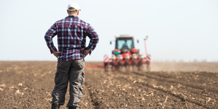 L'agriculture régénératrice séduit de plus en plus d'agriculteurs