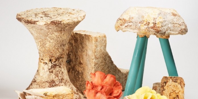 Mycotopia : utiliser le champignon comme recycleur naturel