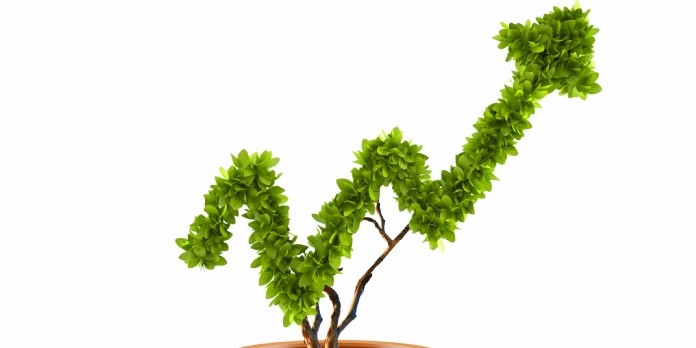 Evergreen devient Transition Evergreen