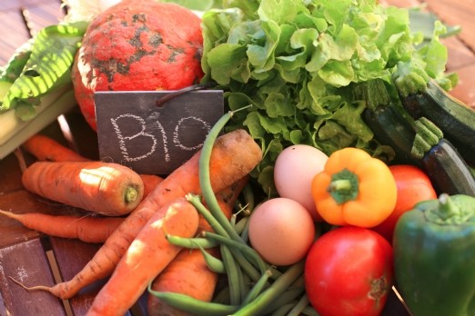 La Fabrique des Territoires Cocagne marie insertion professionnelle et agriculture biologique