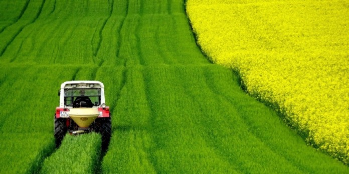 Colza : le nouveau biofioul domestique