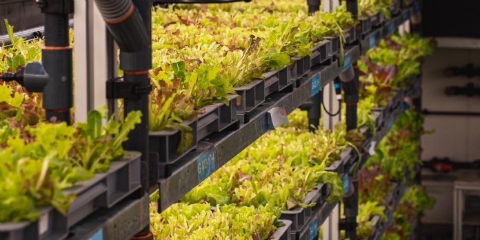 Agricool poursuit son développement
