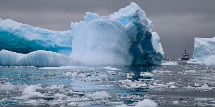 Pamela Anderson s'engage pour la protection des eaux de l'Antarctique
