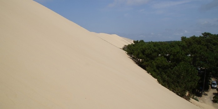C Ma Terre lance un appel aux dons pour protéger le littoral du Bassin d'Arcachon