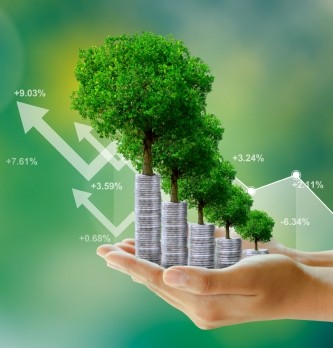 Finance verte : où placer sa trésorerie ?