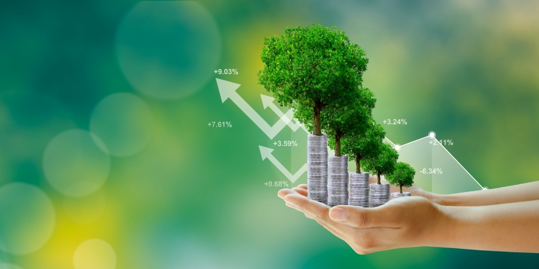 Finance verte : où placer sa trésorerie ?