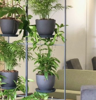 "Nos clients souhaitent mettre l'accent sur le bien-être au travail"