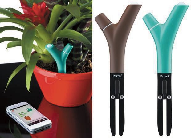 Connecter une plante verte est aujourd'hui possible avec la sonde Parrot