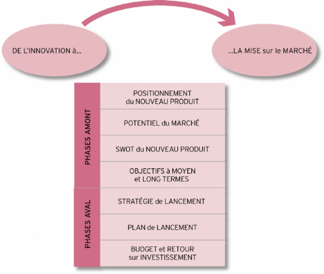 Plan De Lancement D'un Nouveau Produit