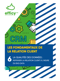 Couverture #6 : La qualité des données : Repenser la Relation Client à l’heure du big data
