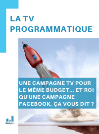 Couverture livre blanc La TV programmatique pour mener sa première campagne TV avec un budget limité
