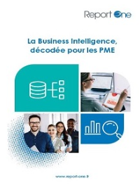 Couverture livre blanc La Business Intelligence décodée pour les PME