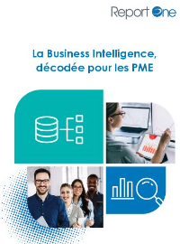 Couverture La Business Intelligence, décodée pour les PME