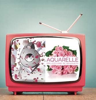 La télévision nous installe dans le monde réel - Épisode 1 : Publicité, publicité, dis-moi comment émerger ?